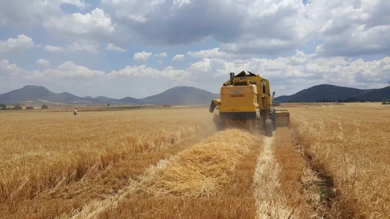 Η Μόσχα απαγορεύει τις εξαγωγές ζάχαρης και σιτηρών